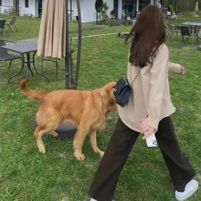 维梅尔:光影大师