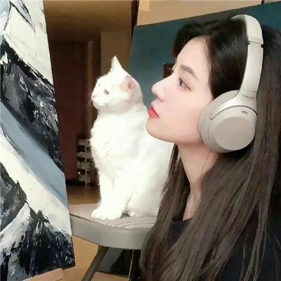 满城尽奏吉卜赛
